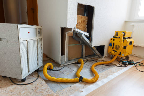 Environmental Consulting for Mold Prevention in Livingston, MT